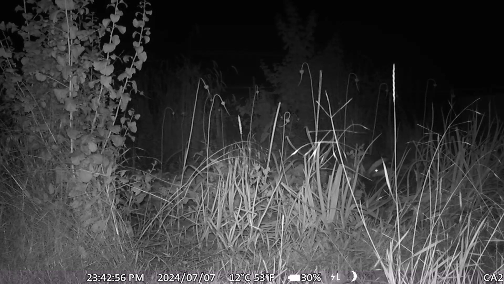 Diebe im Garten – Mit Clipchamp erstellt - frame at 0m39s.jpg