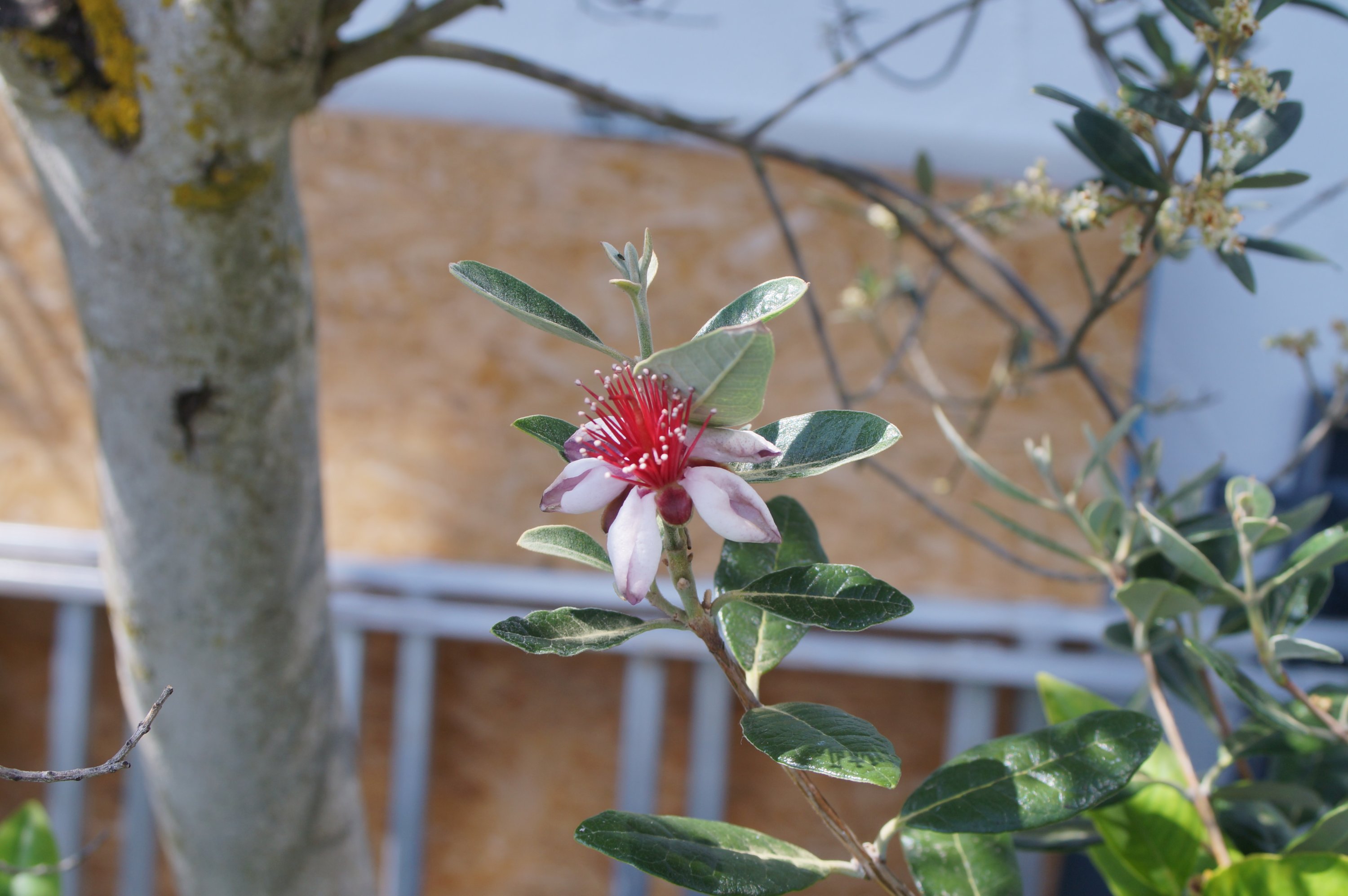 DSC05950.JPG