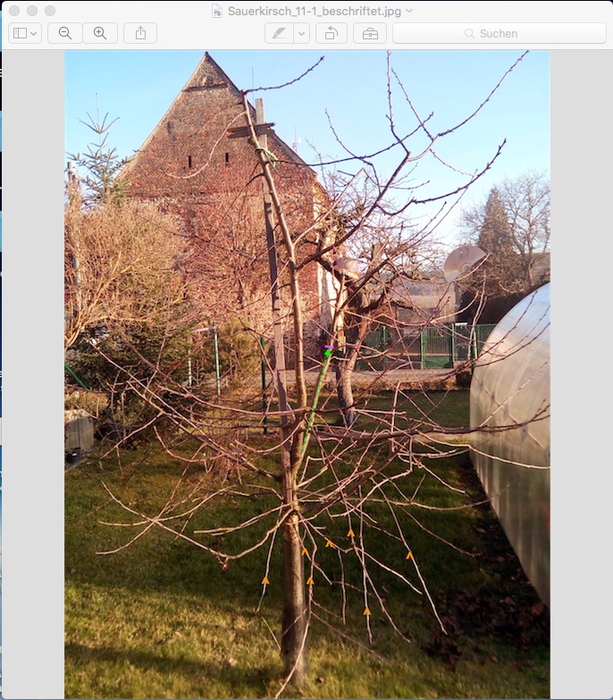 Screenshot_Foto mit Vorschau geöffnet.jpg