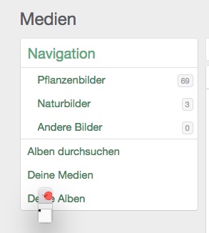 Screenshot_Galerie_Bild-Zählung.jpg