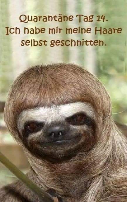 Witz_Corona_Frisöre_04.jpg