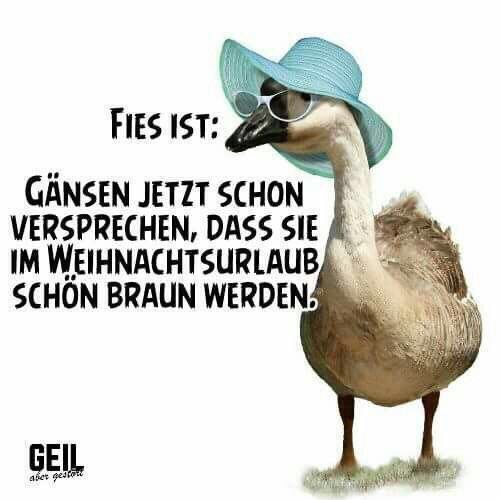 Witz_Enten & Gänse.jpg