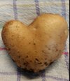 Kartoffel Herz.jpg