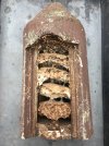 Nistkasten_Hornissen-Nest_01.jpg