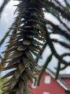 IMG_8647.jpeg