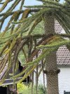IMG_8649.jpeg