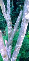 20250610_184455.jpg