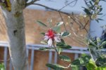 DSC05950.JPG