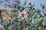 DSC05948.JPG