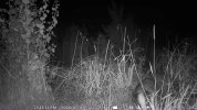 Diebe im Garten – Mit Clipchamp erstellt - frame at 0m56s.jpg