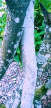 20250829_163748.jpg