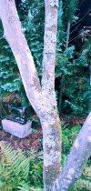 20250829_163739.jpg