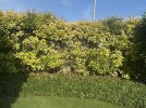 k-IMG_2881.JPG