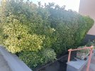 k-IMG_2883.JPG