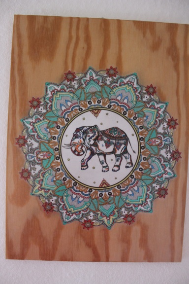 Calypso Gartenforum ⇒ Stelle eine Frage in der Community