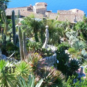 Botanischer Garten von Èze, Ansicht mit Blick auf das Mittelmeer