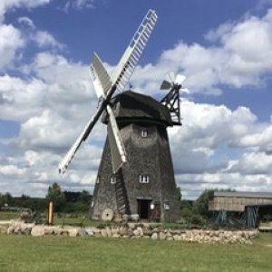 Windmühle im agroneum.jpeg