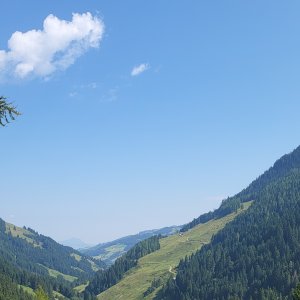 20250810_112833.jpg