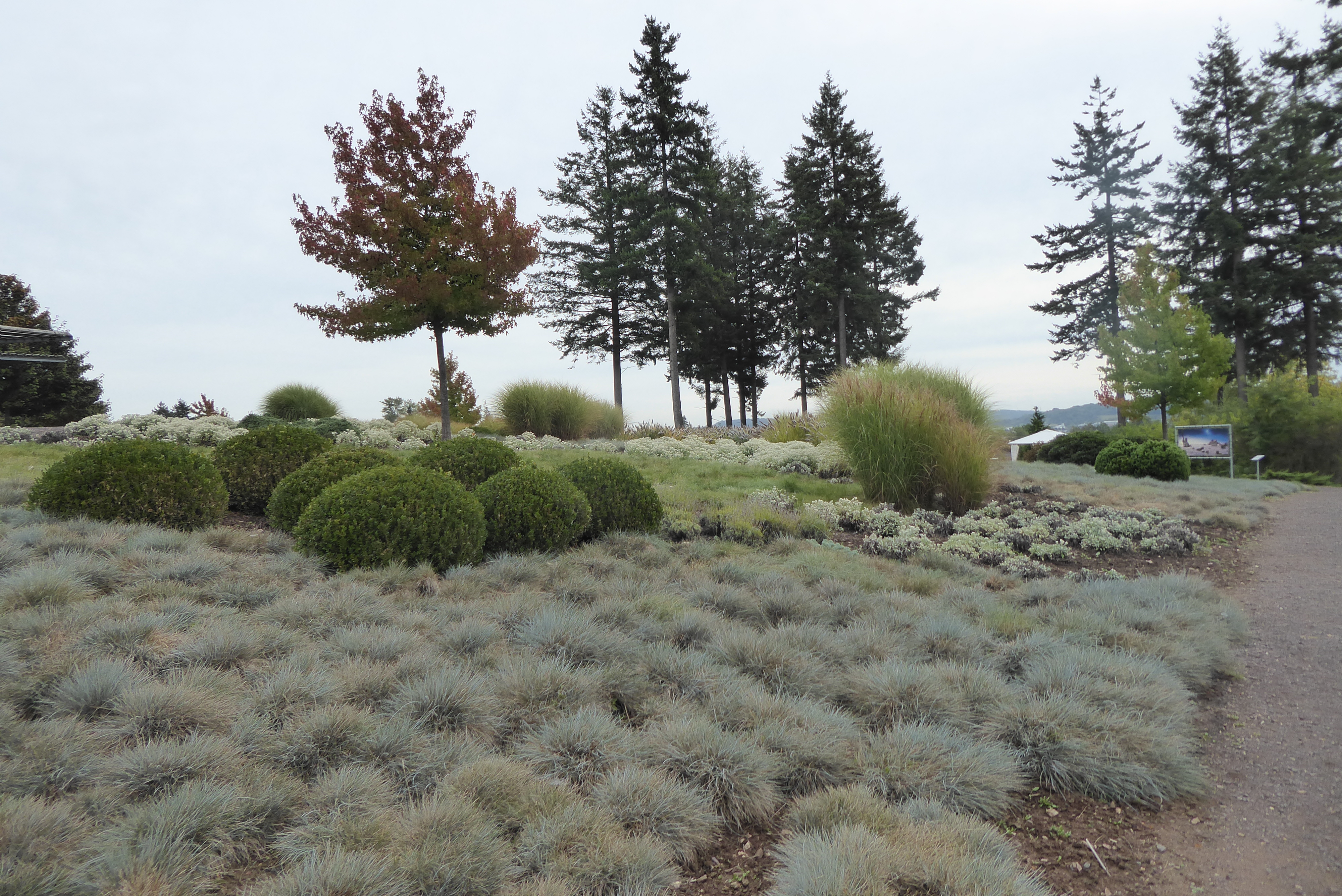 09 24 Seegarten Losheim Gartenpartie 1.JPG