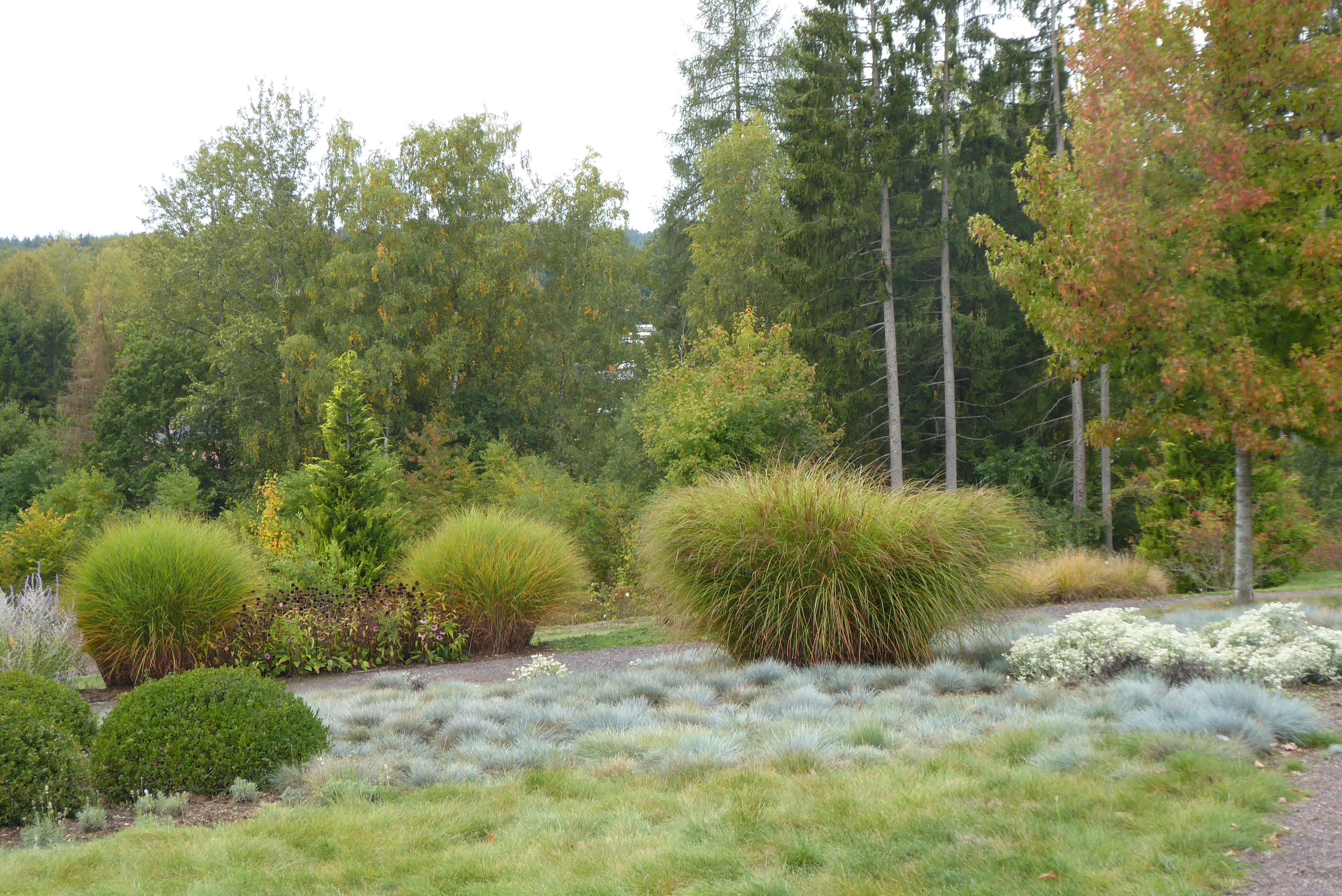 09 24 Seegarten Losheim Gartenpartie mit Ziergräsern.JPG