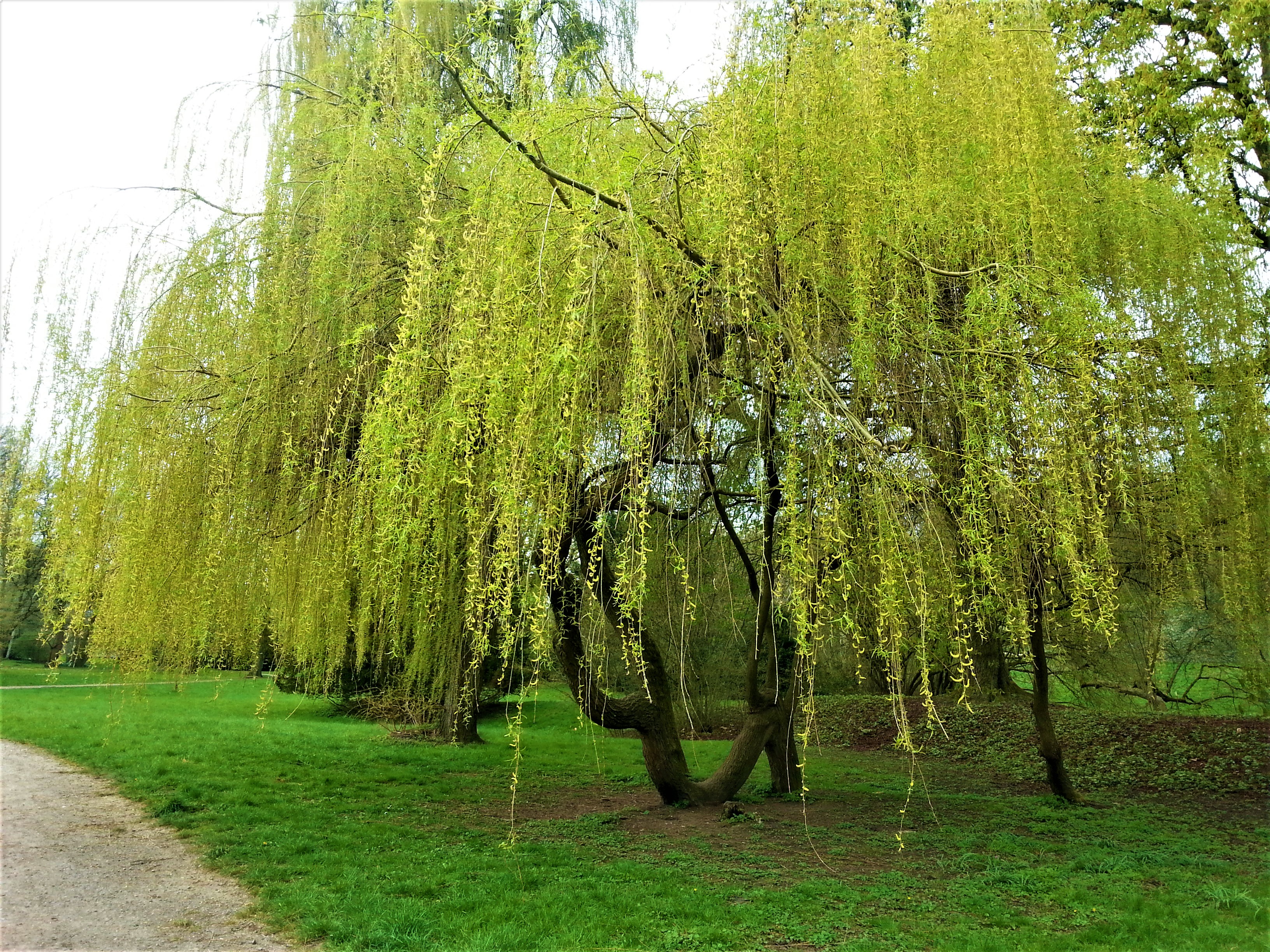 20160412_115146.jpg