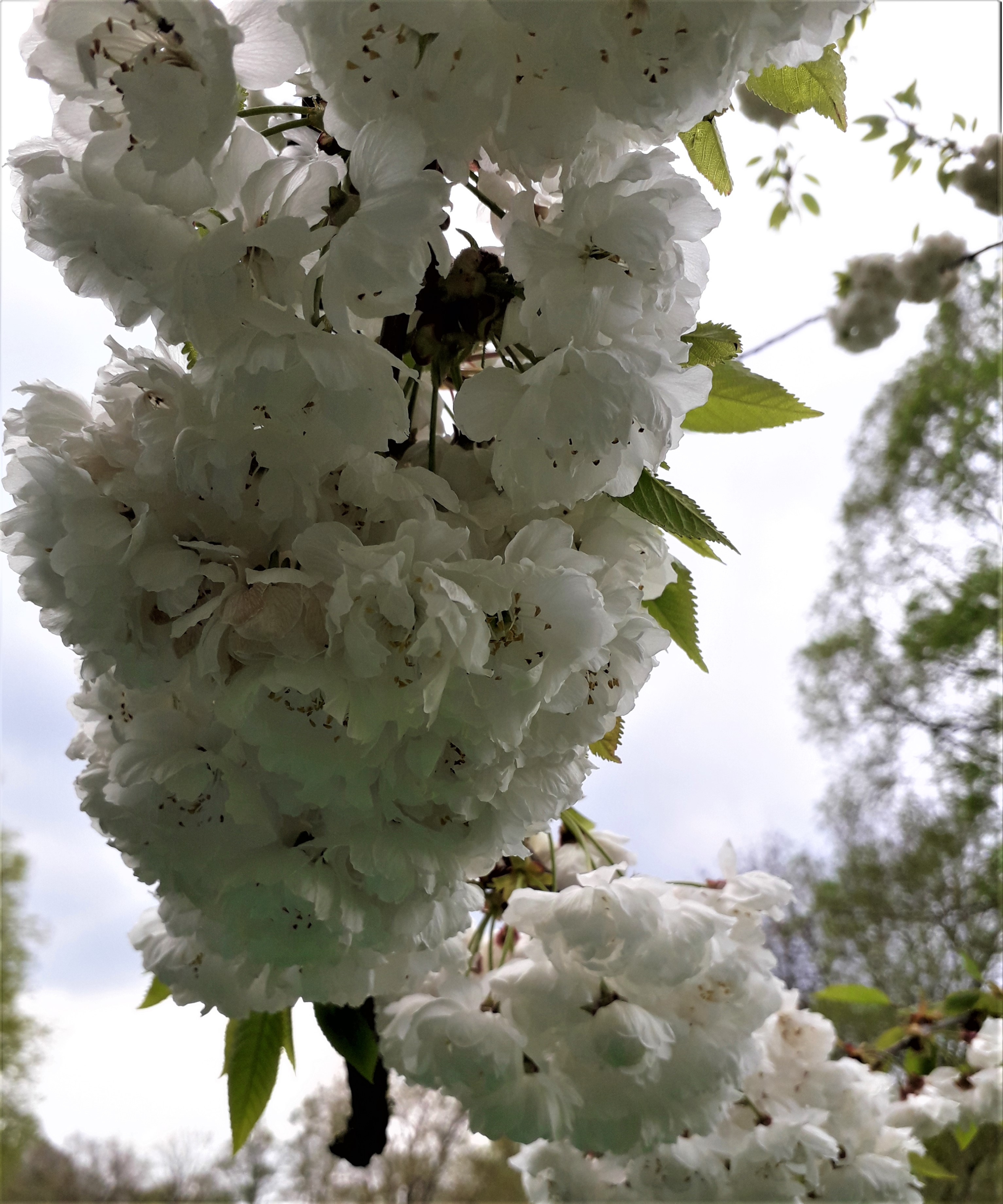 20220426_185645 (2).jpg