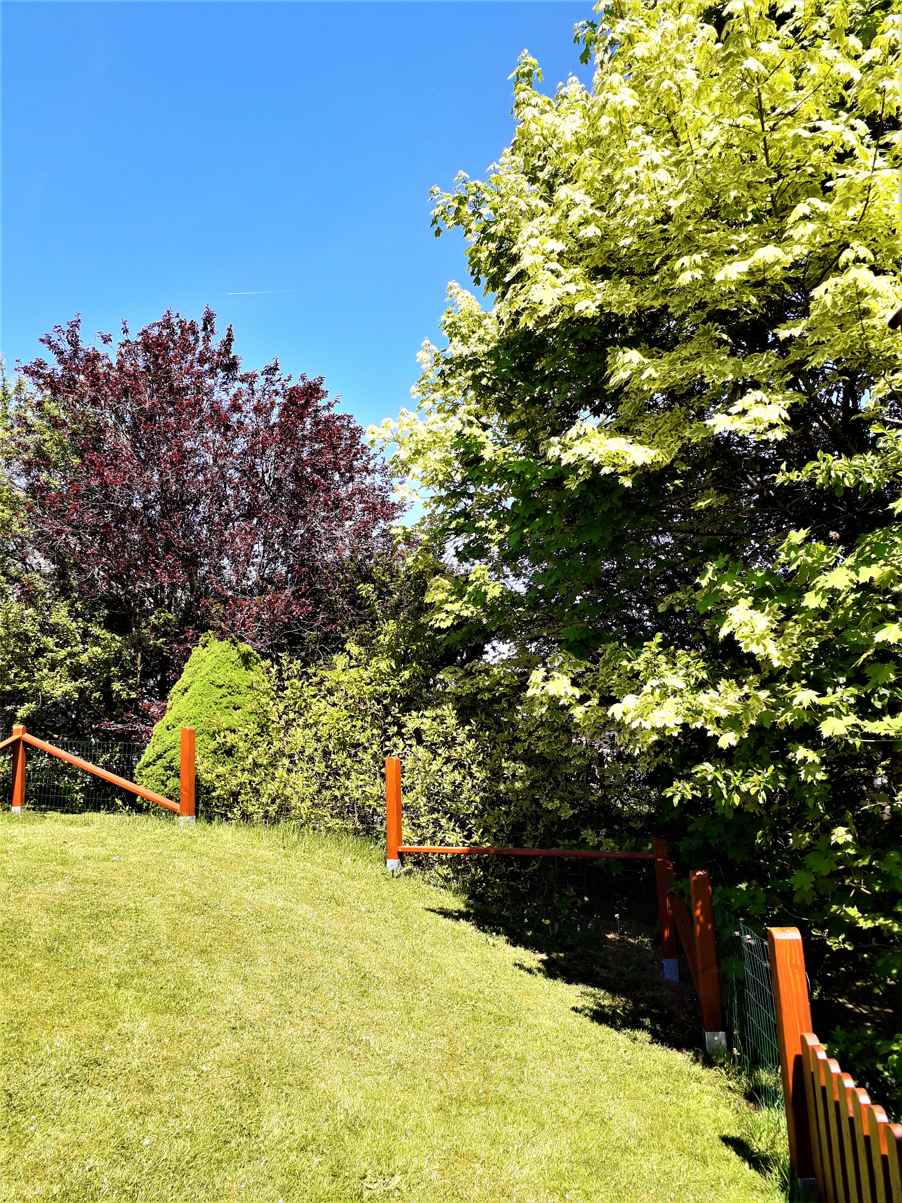 20220515_142207 (2).jpg