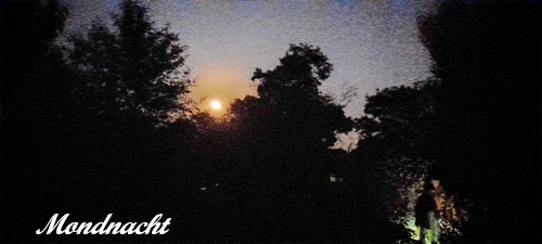 20240918_205117~2-EDIT.jpg
