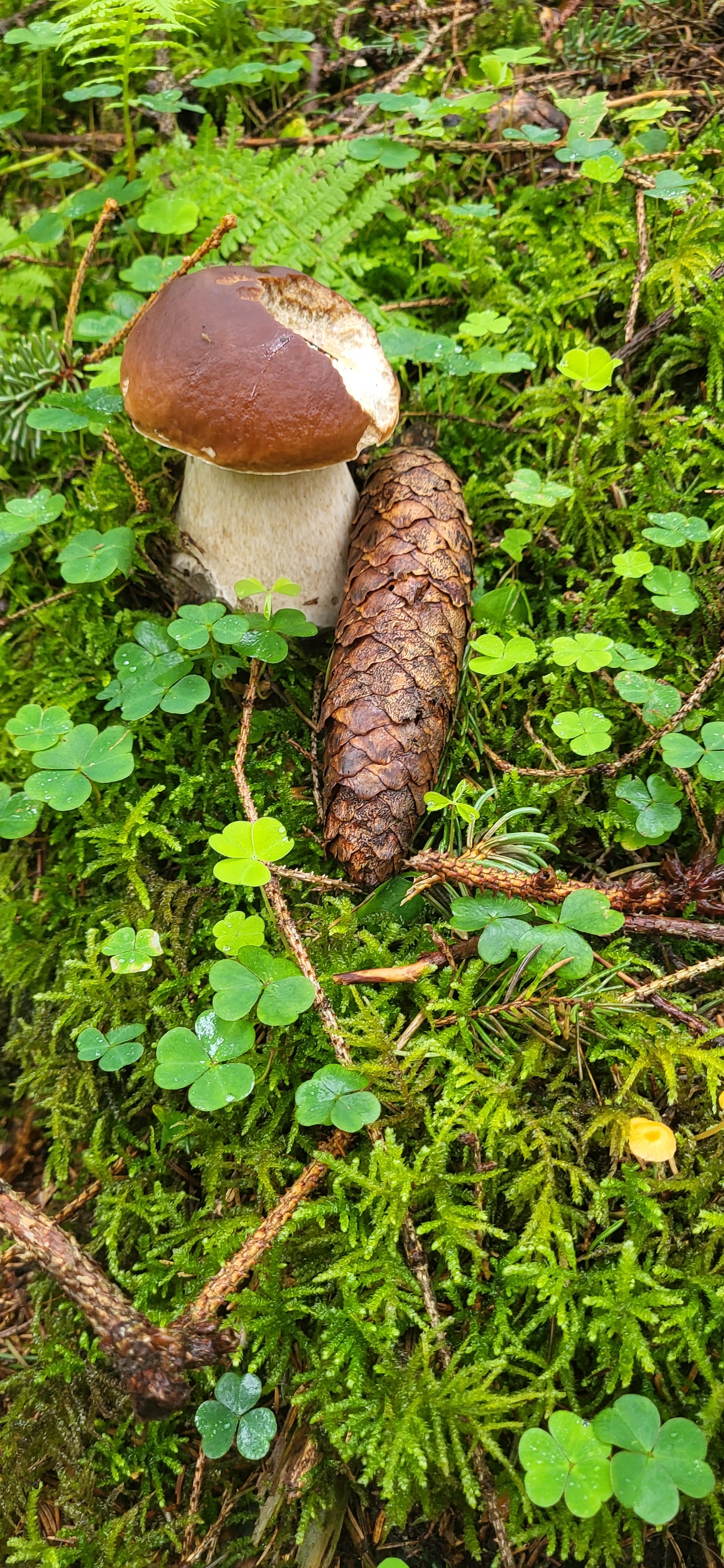 20250725_111832.jpg