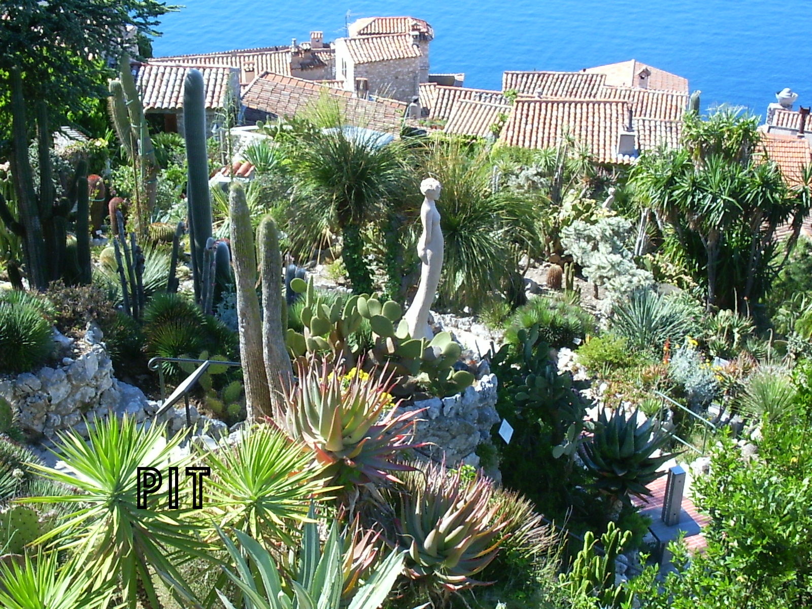 Botanischer Garten von Èze, Ansicht mit Blick auf das Mittelmeer