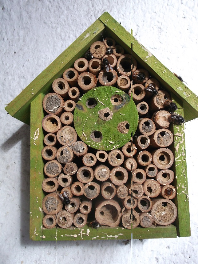 Insektenhotel 1.jpg