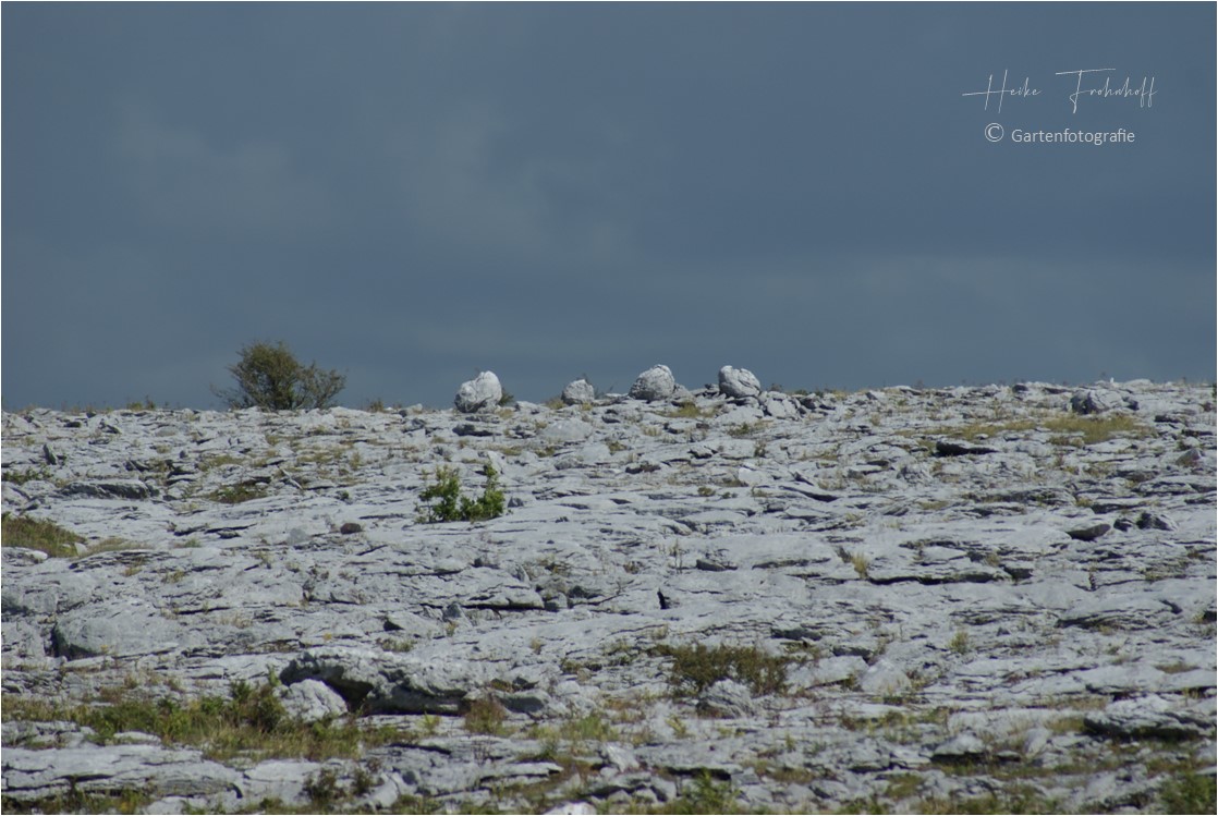 Karge Landschaft