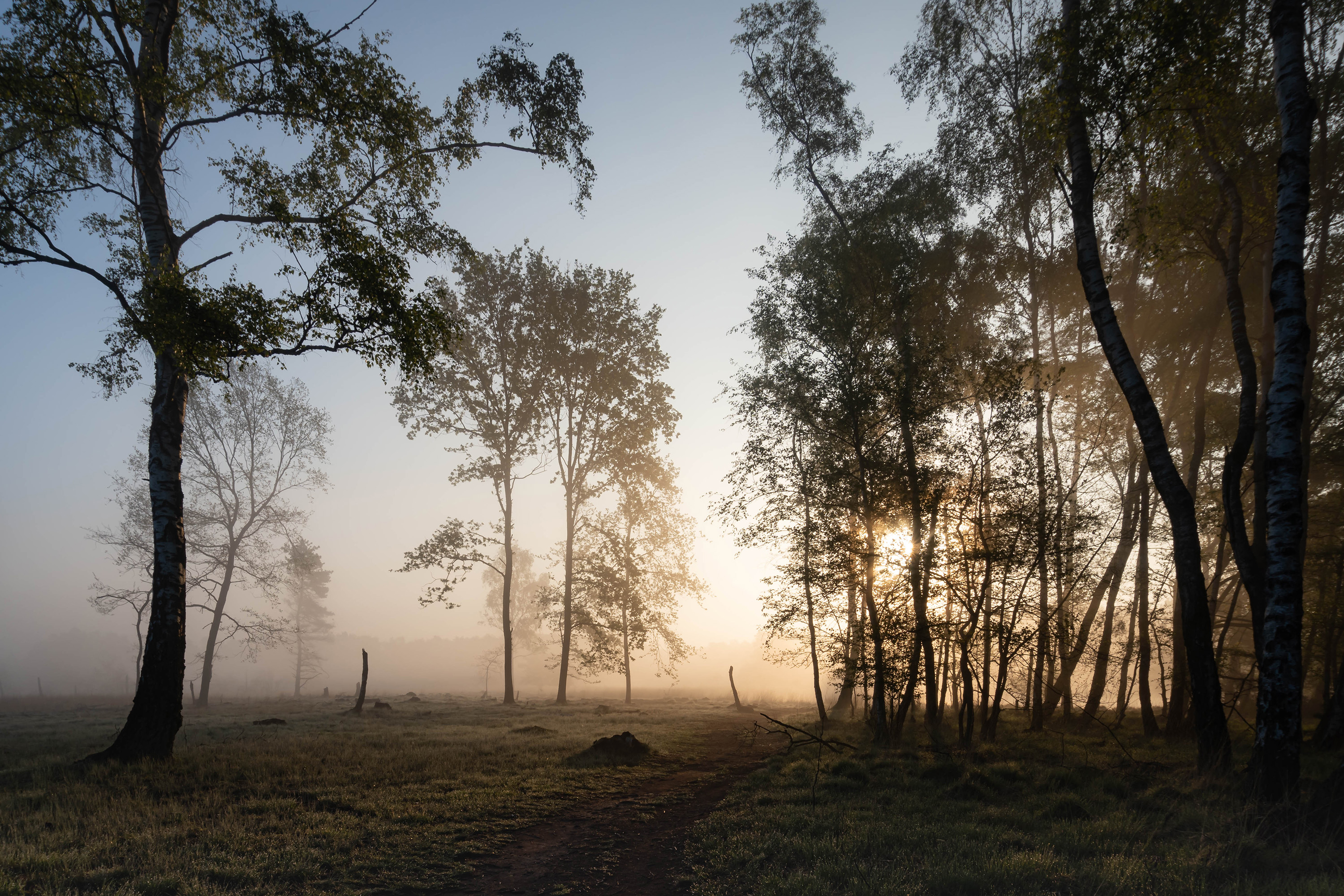 Morgenstimmung im Venn