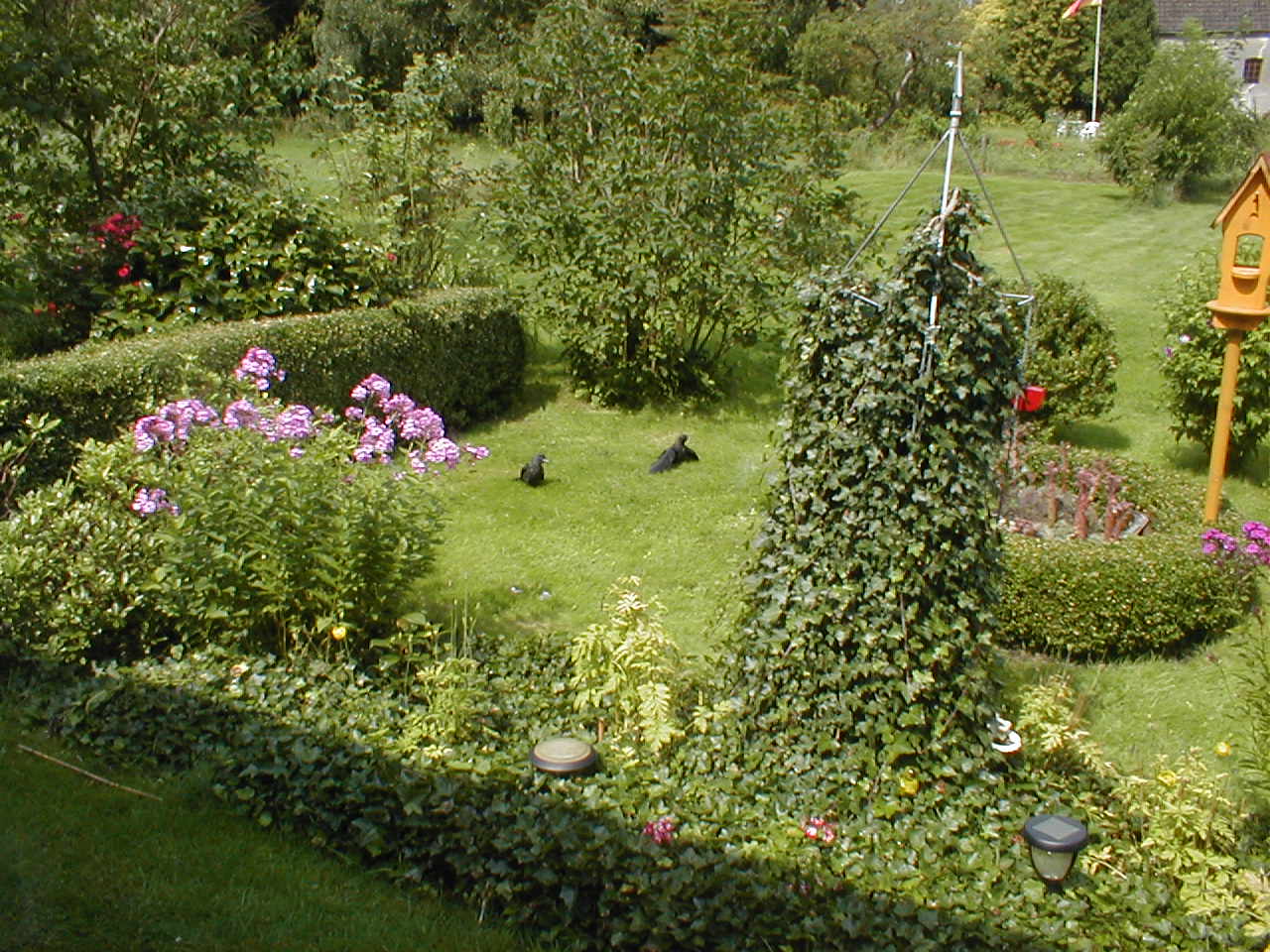 P7260013.JPG