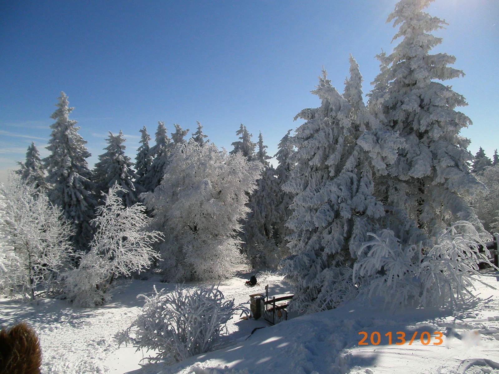 Taunus 2013.03.jpg