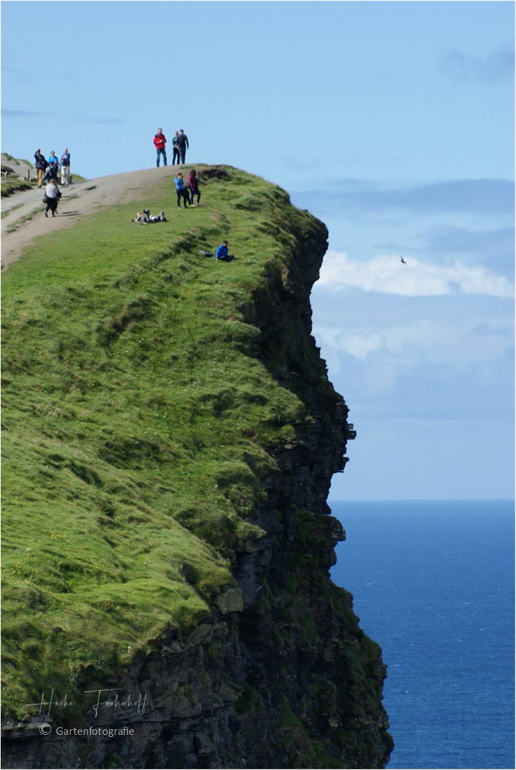 Wenn die wüssten....